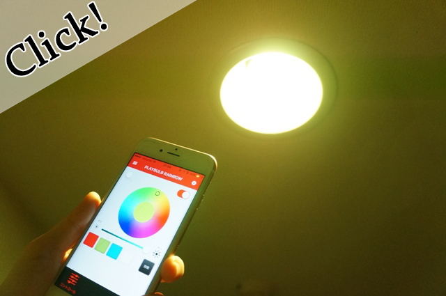 PLAY BULB
