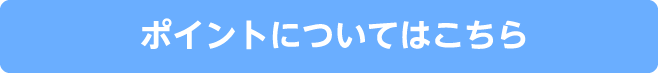 ポイントについてはこちら