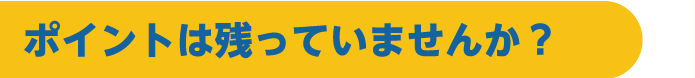 ポイントは残っていませんか？