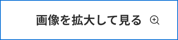 画像を拡大して見る