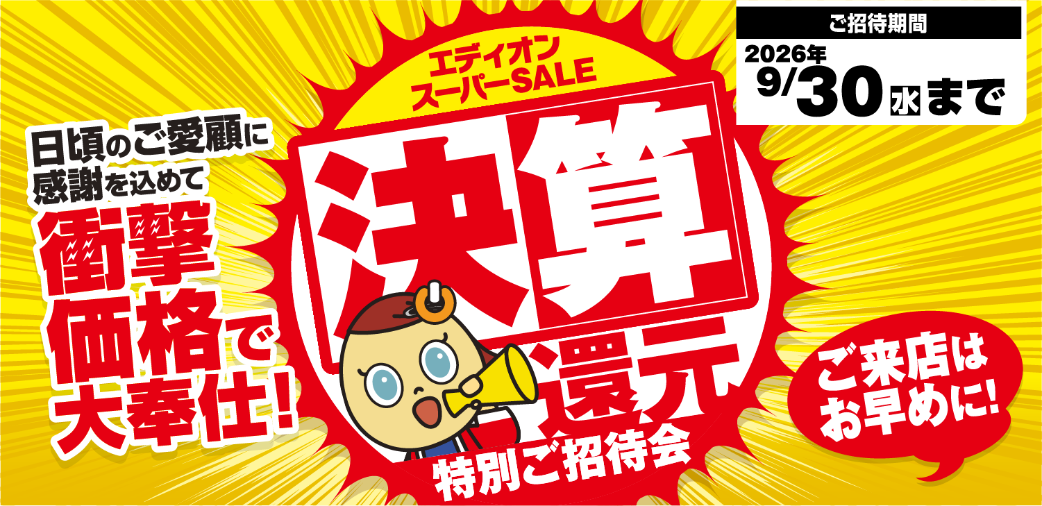 エディオンDM商品サイト