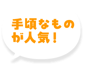 手頃なものが人気！