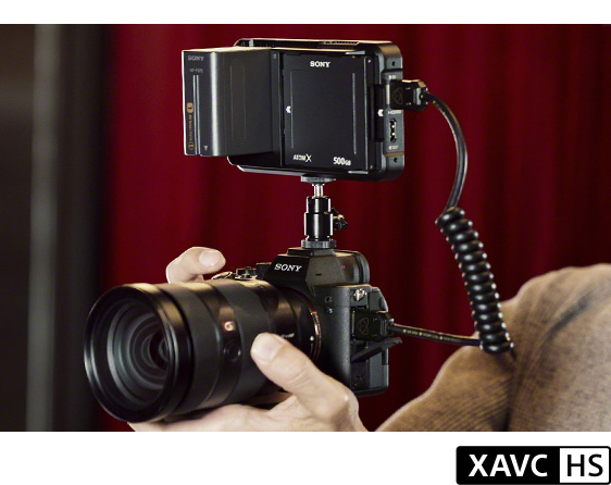 m*7様 α7S III ILCE-7SM3 ボディ デジタル一眼レフ 本体と付 4152583015_003.jpg