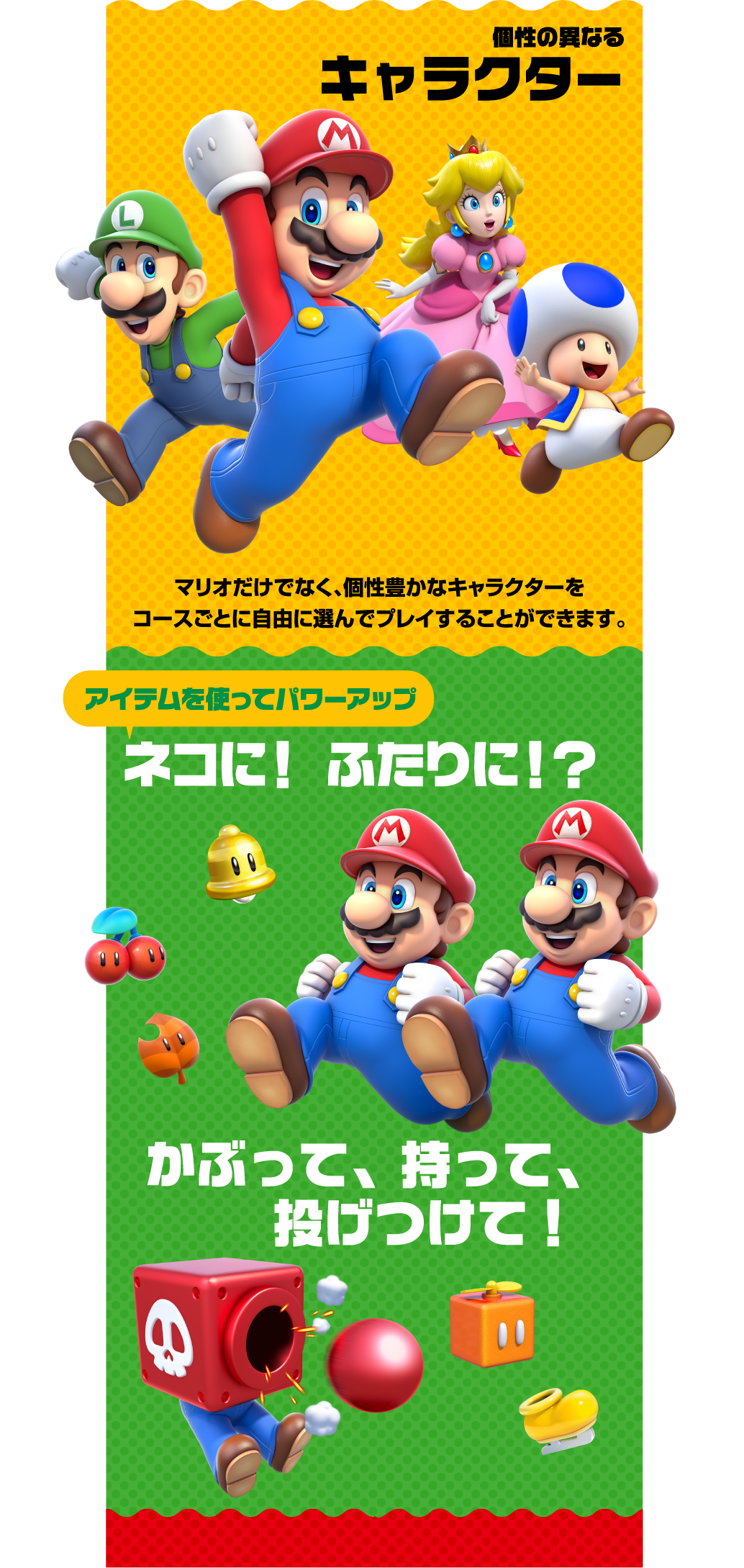 任天堂 HACPAUZPA スーパーマリオ 3Dワールド + フューリー