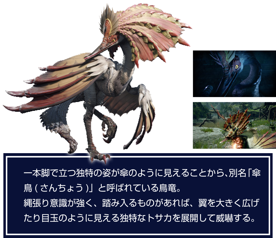 エディオンネットショップ カプコン Hacpaxsea モンスターハンターライズ Switch エディオンネットショップ カプコン Hacpaxsea モンスターハンターライズ Switch