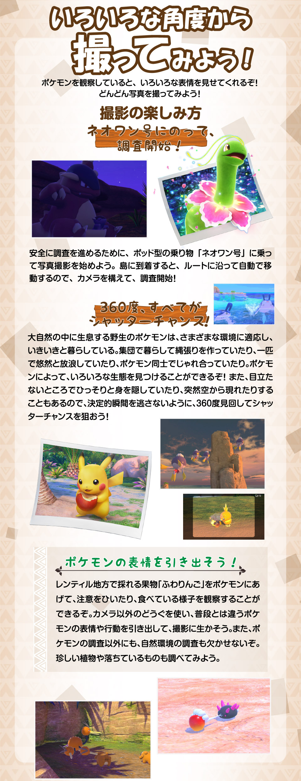 エディオンネットショップ ポケモン Hacparfta New ポケモンスナップ Switch