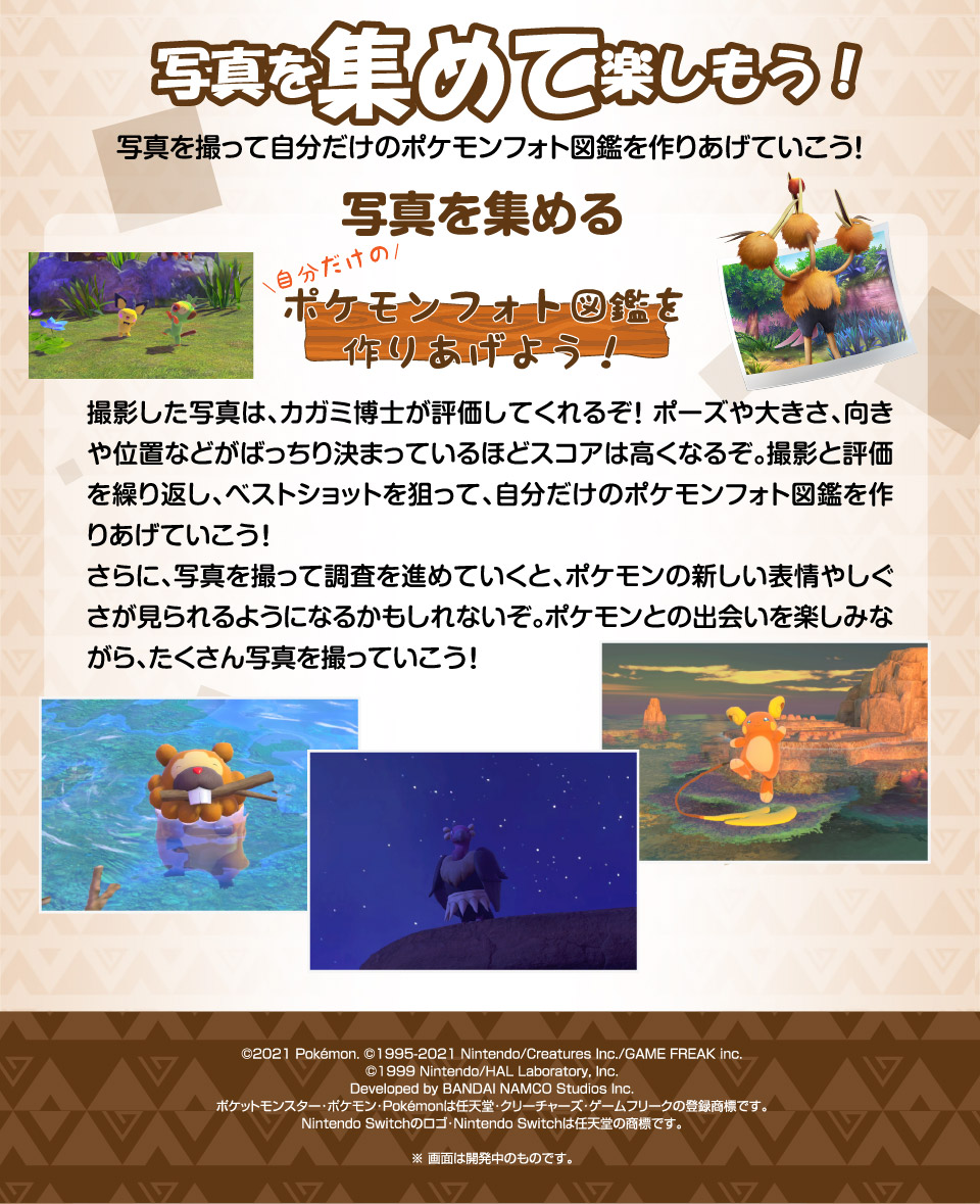 エディオンネットショップ ポケモン Hacparfta New ポケモンスナップ Switch エディオンネットショップ ポケモン Hacparfta New ポケモンスナップ Switch