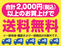 エディオンネットショップ|旭電機化成 AKA108 耳かけ集音器II SMILE KIDS