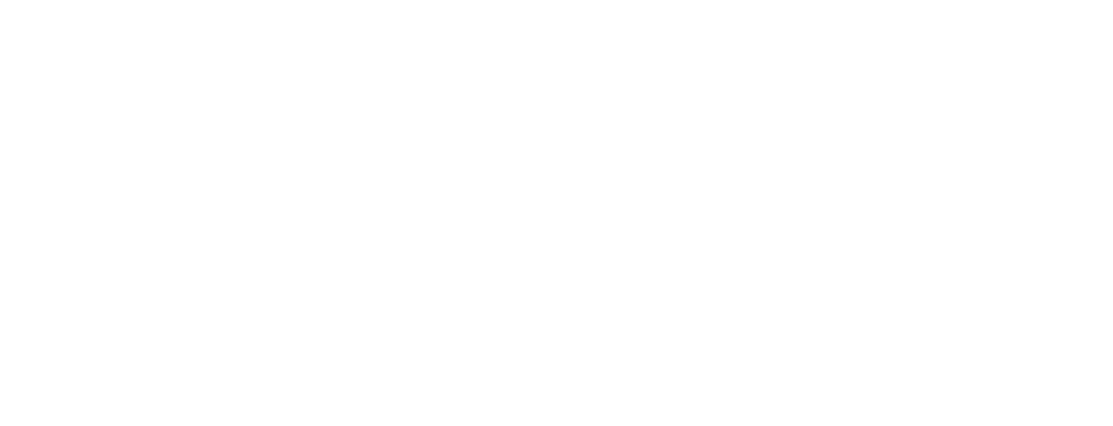 BUFFALO 無線blueLEDマウス