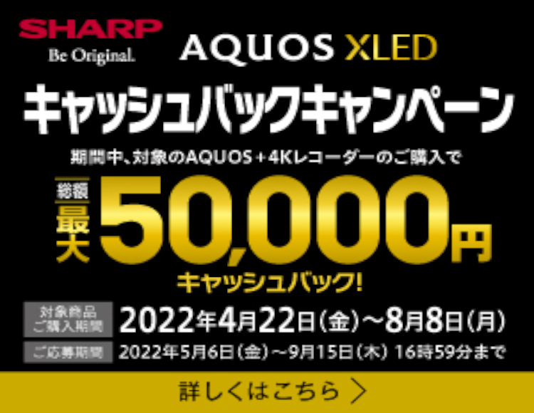 最大65％オフ！ 3TB SHARP 4B-C30DW3 2チューナー AQUOS 4Kブルーレイレコーダー ブルーレイ、DVD