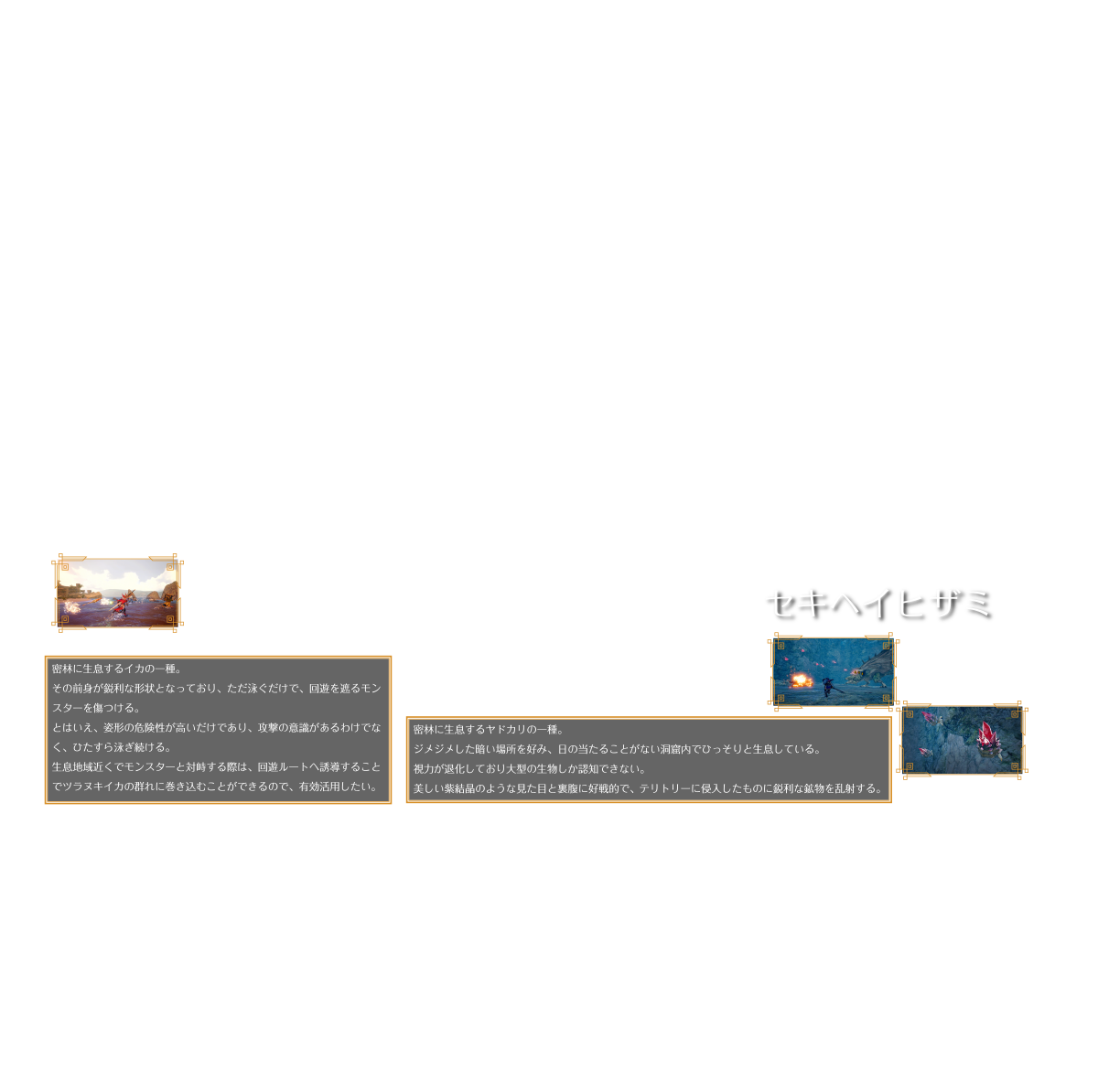 ツラヌキイカ セキヘイヒザミ