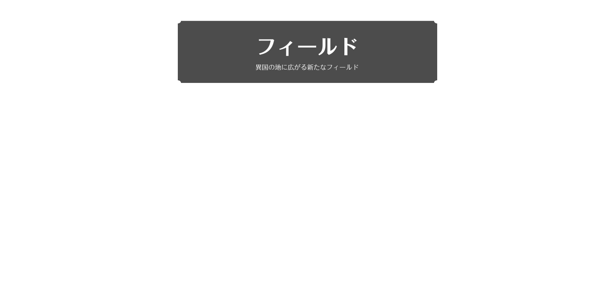 フィールド
