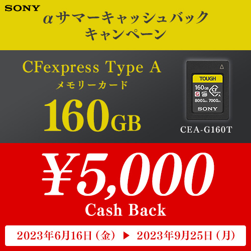 SONY CEAG160T CFexpress TypeA メモリーカード 160GB |エディオン公式通販