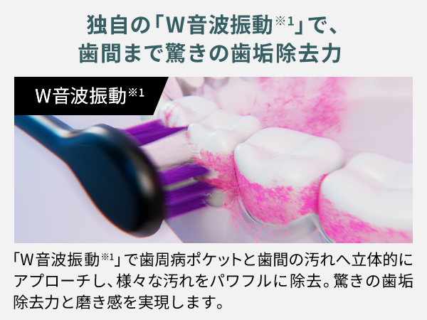 「W音波振動※1」で歯周病ポケットと歯間の汚れへ立体的にアプローチし、様々な汚れをパワフルに除去。驚きの歯垢除去力と磨き感を実現します。
※1 音波領域内での、ヨコ31,000、タタキ12,000ブラシストローク/分の振動