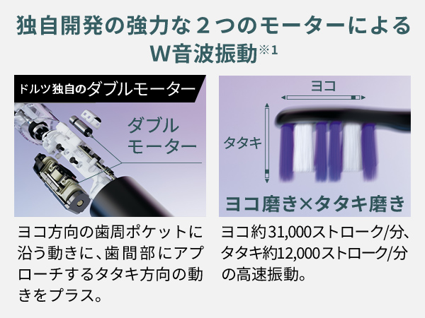 ヨコ方向の歯周ポケットに沿う動きに、歯間部にアプローチするタタキ方向の動きをプラス。ヨコ方向う約31,000ストローク/ 分 タタキ方向約12,000ストローク/ 分の高速振動。