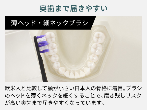 欧米人と比較して顎が小さい日本人の骨格に着目。ブラシのヘッドを薄くネックを細くすることで、磨き残しリスクが高い奥歯まで届きやすくなっています。