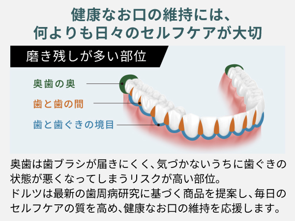 歯の平均寿命は60歳と言われ、早い人では40代から歯が抜け始めます。一般的に奥歯から抜けていくことが多く、 その原因がプラーク（歯垢）の磨き残しです。奥歯は歯ブラシが届きにくいため歯周ポケットも深くなりがちで、気づかないうちに歯ぐきの状態が悪くなってしまうリスクが高いです。ドルツは最新の歯周病研究に基づく商品を提案しあなたの毎日のセルフケアの質を高め、健康なお口の維持を応援します。