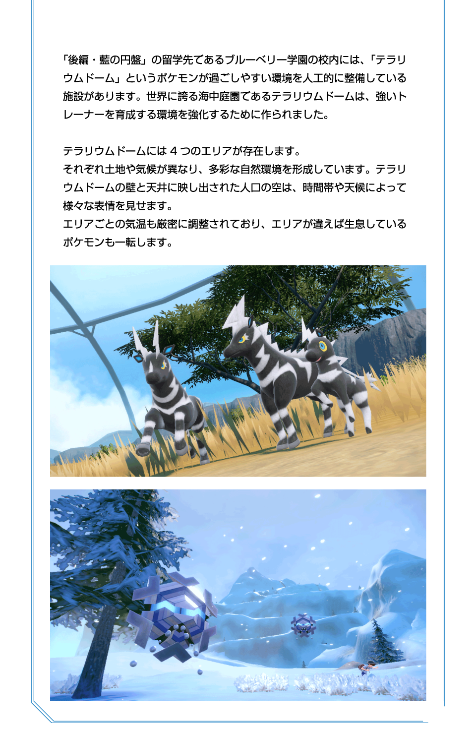 任天堂 HACRALZYG ポケットモンスター バイオレット+ゼロの秘宝