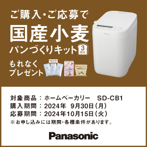 2024年製 パナソニック SD-MT4-W ホームベーカリー Panasonic