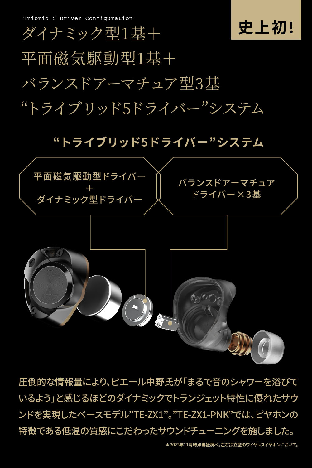 ユピオン⭐︎さま専用 AVIOT TE-ZX1-PNK 完全ワイヤレスイヤフォン 【ピエール中野