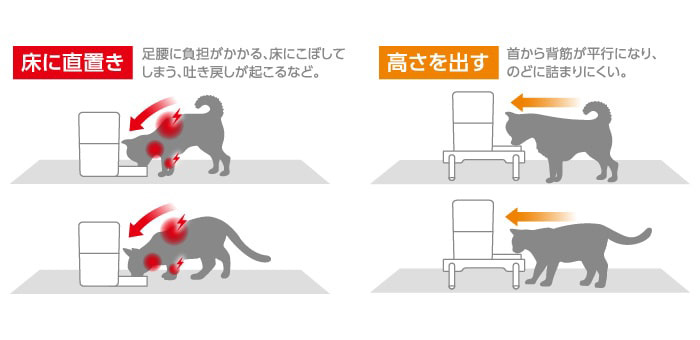 床に直置き：足腰に負担がかかる、床にこぼしてしまう、吐き戻しが起こるなど。　高さを出す：首から背筋が平行になり、のどに詰まりにくい。