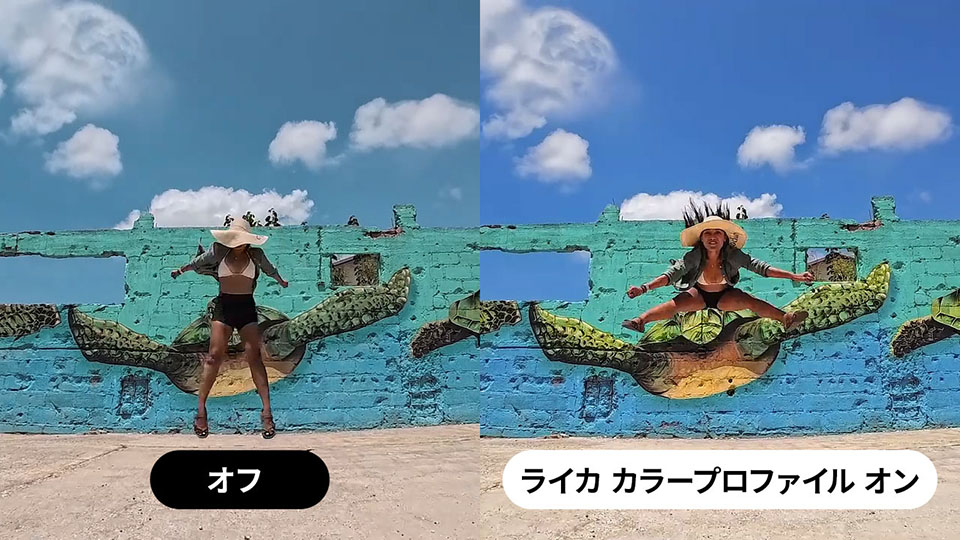 本製品を使用した画像と他社同類カメラを使用した画像を比較した画像
