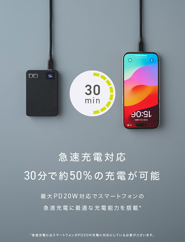 単ポート最大20W出力