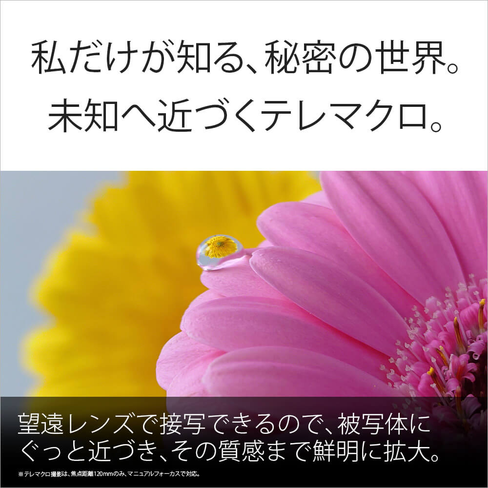 私だけが知る、秘密の世界。未知へ近づくテレマクロ。