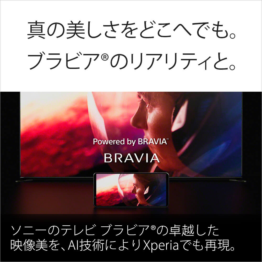 真の美しさをどこへでも。ブラビアのリアリティと。