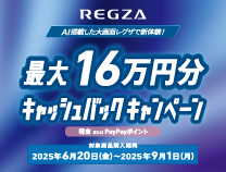 最大16万円分キャッシュバックキャンペーン