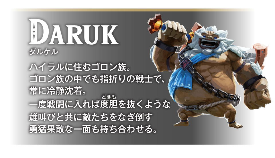 任天堂 NXSPAAAAH ゼルダの伝説 ブレス オブ ザ ワイルド