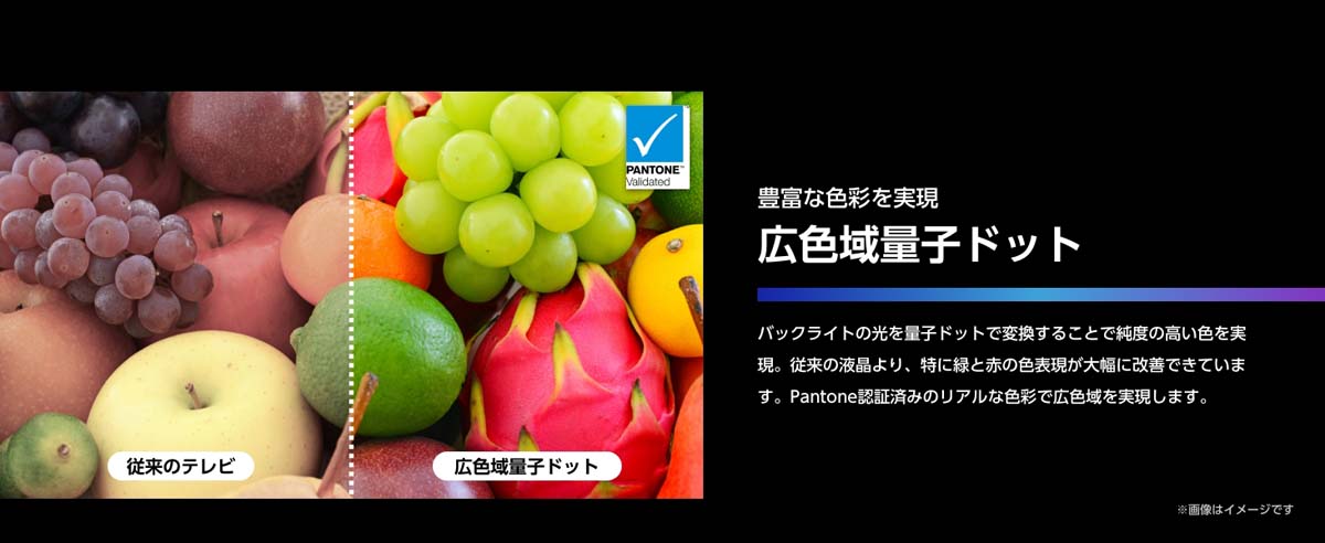 豊富な色彩を実現 広色域量子ドット