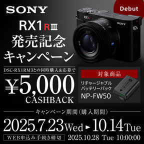 SONY - SONY  リチャージャブルバッテリーパック NP FW50 SONY 楽天市場】ソニーグループ SONY リチャージャブルバッテリー