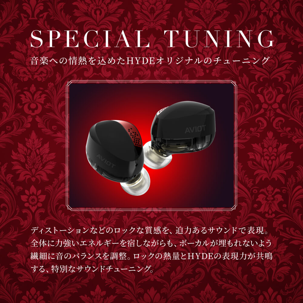 AVIOT TE-J2-666 トゥルーワイヤレスイヤフォン ブラック|エディオン