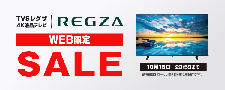 2023年製 REGZA テレビ 65E350M 楽天市場】TVS REGZA TOSHIBA 液晶テレビ REGZA 65E350M | 価格