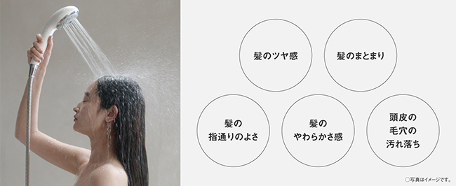 髪のツヤ感 髪のまとまり 髪の指通りのよさ 髪のやわらかさ感 頭皮の毛穴の汚れ落ち