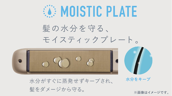 モイスティックプレートのイメージ