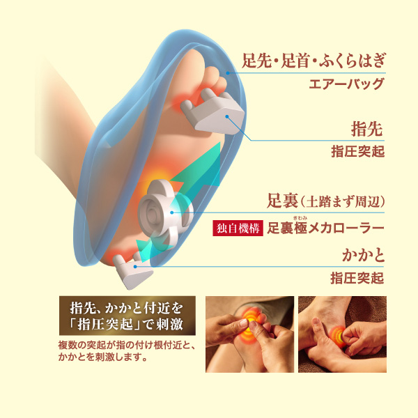 複数の突起が指の付け根付近と、かかとを刺激します。