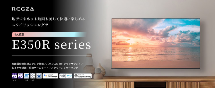 TVS REGZA 50E350R 50V型4Kチューナー内蔵4K対応液晶テレビ