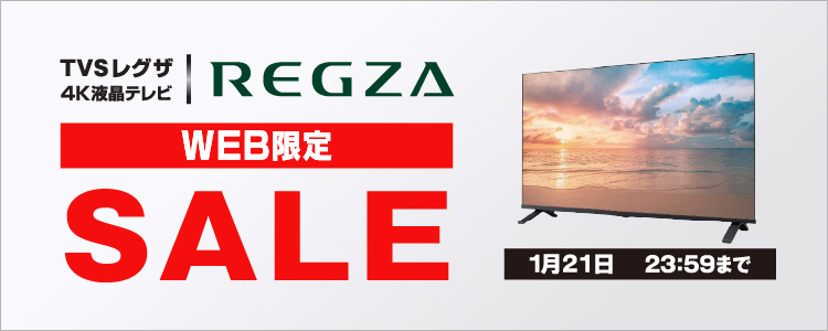 TVS REGZA 65E350R 65V型4Kチューナー内蔵4K対応液晶テレビ REGZA