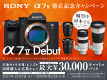 レンズ(ズーム) SONY SEL200600G レンタル] ソニー FE 70-200mm F4 G OSS SEL70200G 望遠ズームレンズ