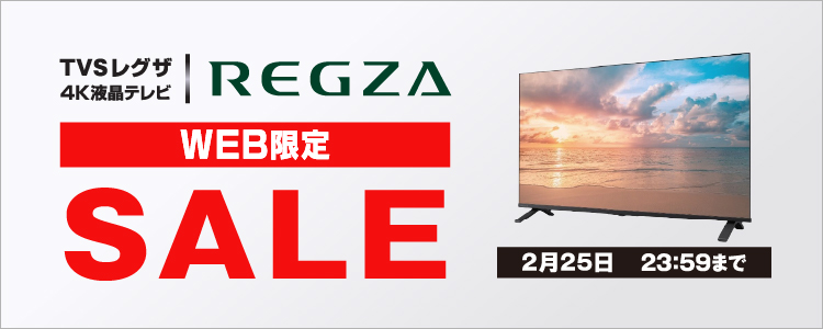 TVS REGZA 55E350R 55V型4Kチューナー内蔵4K対応液晶テレビ REGZA