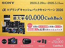 SONY ILCE-7M3K デジタル一眼カメラ・ズームレンズキット α7 III