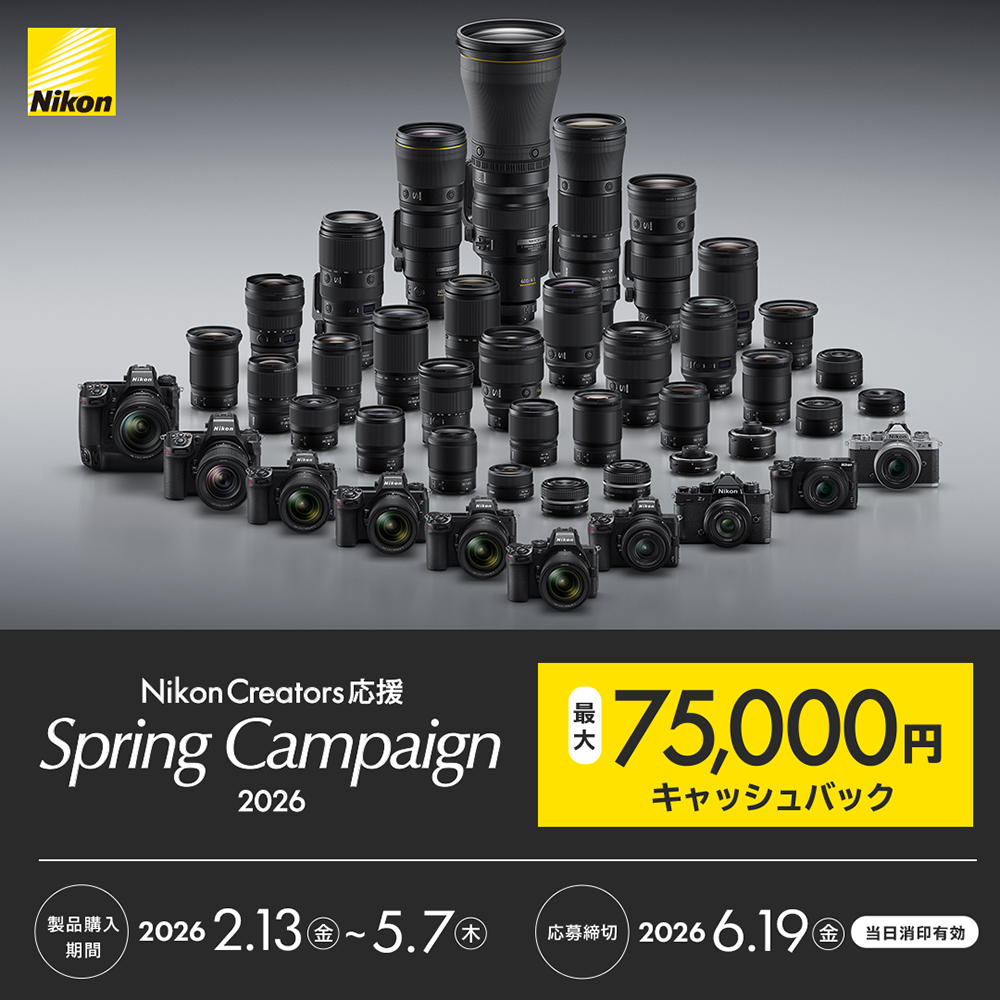 ニコン NZ14-30 4 超広角ズームレンズ NIKKOR Z 14-30mm f/4 S