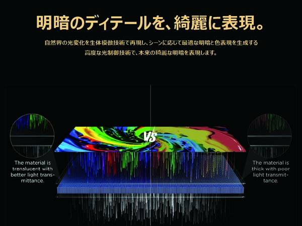 明暗のディテールを、綺麗に表現