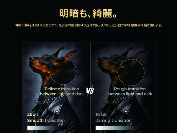 明暗も綺麗