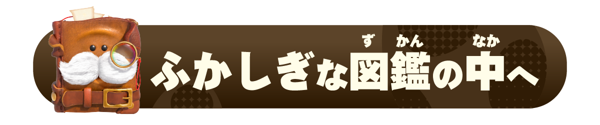 ふかしぎな図鑑の中へ