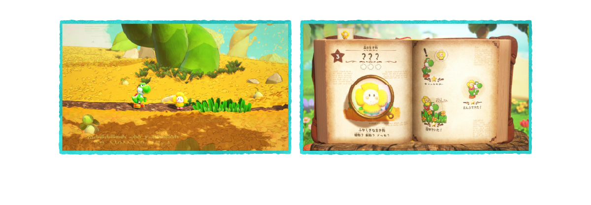 図鑑のイメージ画像