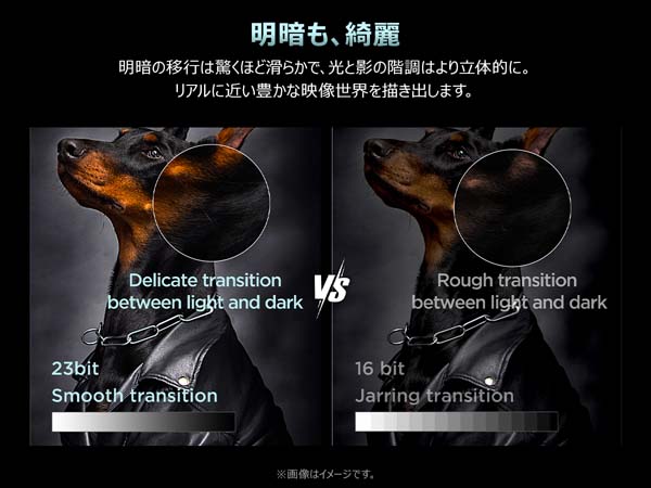 明暗も、綺麗