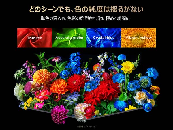 どのシーンでも、色の純度は揺るがない